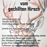 Exclusives Waldhaus Zum Gechillten Hirsch - Komplett Traben-Trarbach