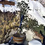 Exclusives Waldhaus Zum Gechillten Hirsch - Komplett