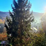 Exclusives Waldhaus Zum Gechillten Hirsch - Komplett Apartament