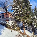 Exclusives Waldhaus Zum Gechillten Hirsch - Komplett * Traben-Trarbach