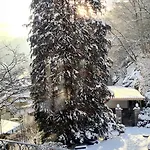 Exclusives Waldhaus Zum Gechillten Hirsch - Komplett