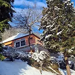 Exclusives Waldhaus Zum Gechillten Hirsch - Komplett * Traben-Trarbach