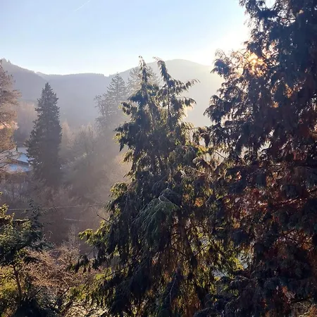 Exclusives Waldhaus Zum Gechillten Hirsch - Komplett ترابن ترارباخ