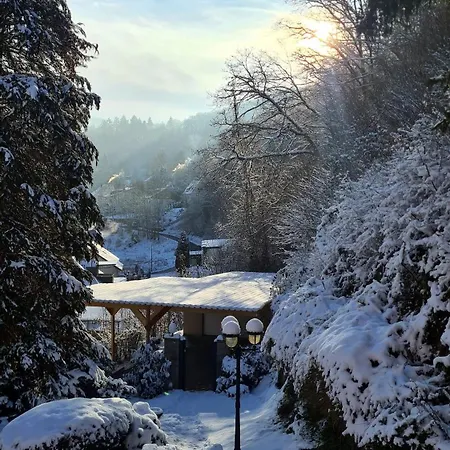 شقة Exclusives Waldhaus Zum Gechillten Hirsch - Komplett