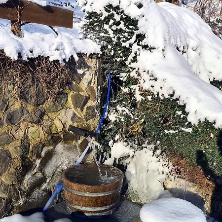 Exclusives Waldhaus Zum Gechillten Hirsch - Komplett