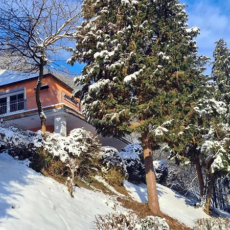 Exclusives Waldhaus Zum Gechillten Hirsch - Komplett * ترابن ترارباخ