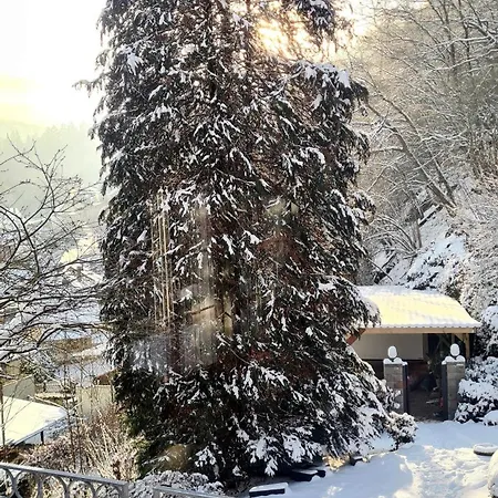 Exclusives Waldhaus Zum Gechillten Hirsch - Komplett
