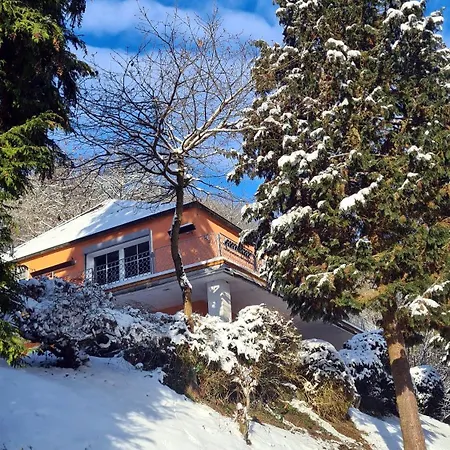 Exclusives Waldhaus Zum Gechillten Hirsch - Komplett * ترابن ترارباخ