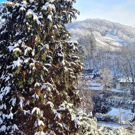 Exclusives Waldhaus Zum Gechillten Hirsch - Komplett