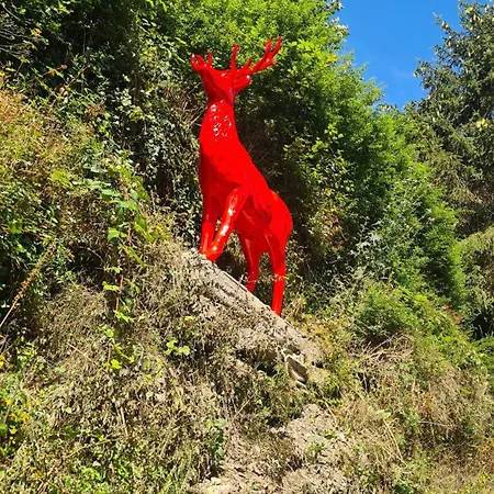 Exclusives Waldhaus Zum Gechillten Hirsch - Komplett *