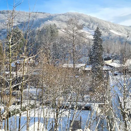 Exclusives Waldhaus Zum Gechillten Hirsch - Komplett