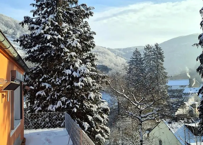 公寓 Exclusives Waldhaus Zum Gechillten Hirsch - Komplett 特拉本特拉巴赫