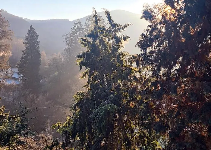 Exclusives Waldhaus Zum Gechillten Hirsch - Komplett 特拉本特拉巴赫