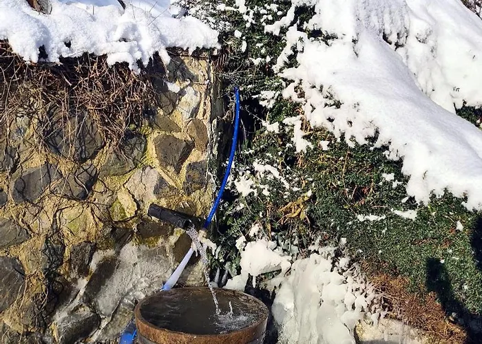 Exclusives Waldhaus Zum Gechillten Hirsch - Komplett