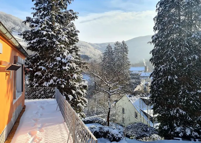 公寓 Exclusives Waldhaus Zum Gechillten Hirsch - Komplett 特拉本特拉巴赫