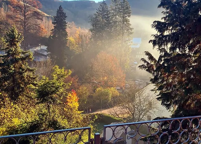 Exclusives Waldhaus Zum Gechillten Hirsch - Komplett 公寓 特拉本特拉巴赫