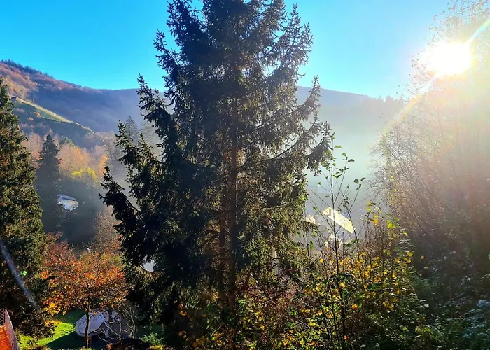 Exclusives Waldhaus Zum Gechillten Hirsch - Komplett 公寓