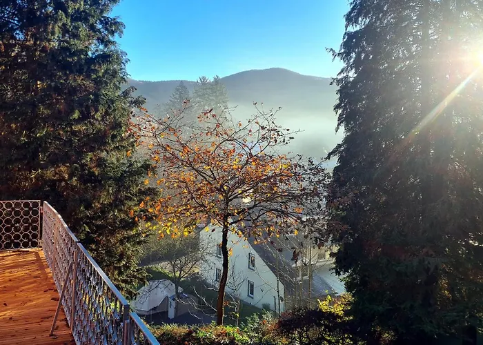 公寓 Exclusives Waldhaus Zum Gechillten Hirsch - Komplett