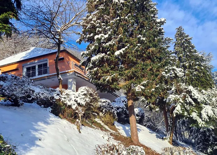 Exclusives Waldhaus Zum Gechillten Hirsch - Komplett * 特拉本特拉巴赫