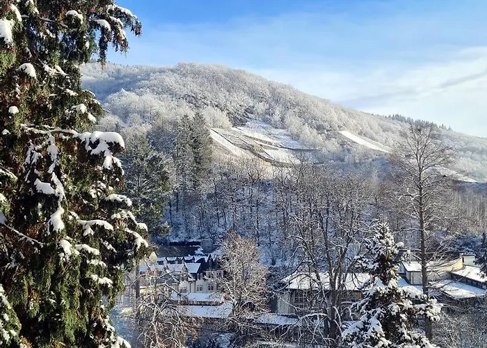 Exclusives Waldhaus Zum Gechillten Hirsch - Komplett * 特拉本特拉巴赫