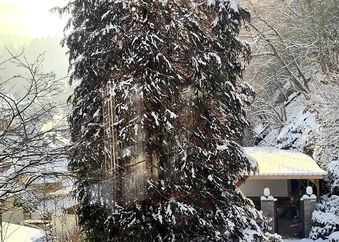 Exclusives Waldhaus Zum Gechillten Hirsch - Komplett