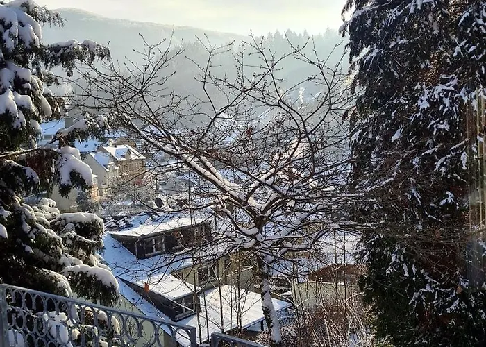 Exclusives Waldhaus Zum Gechillten Hirsch - Komplett 特拉本特拉巴赫