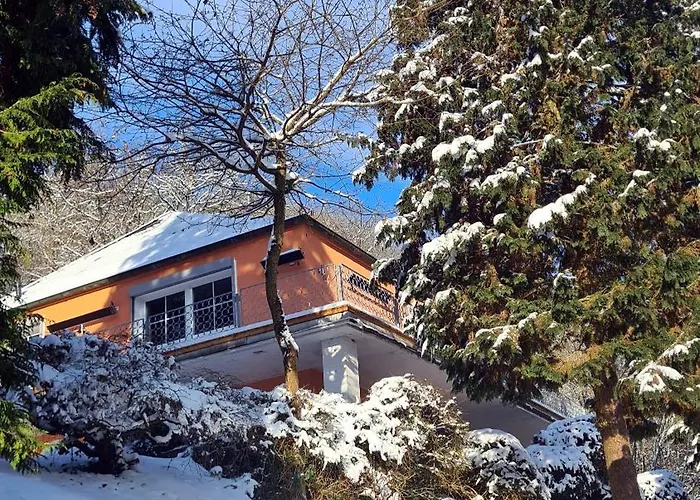 Exclusives Waldhaus Zum Gechillten Hirsch - Komplett * 特拉本特拉巴赫