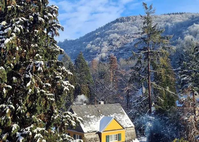 Exclusives Waldhaus Zum Gechillten Hirsch - Komplett 公寓 特拉本特拉巴赫