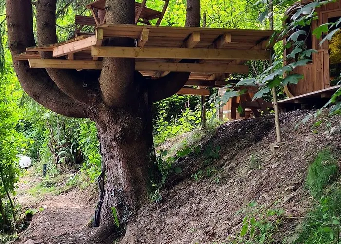 Exclusives Waldhaus Zum Gechillten Hirsch - Komplett 特拉本特拉巴赫