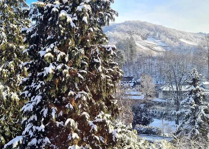 Exclusives Waldhaus Zum Gechillten Hirsch - Komplett