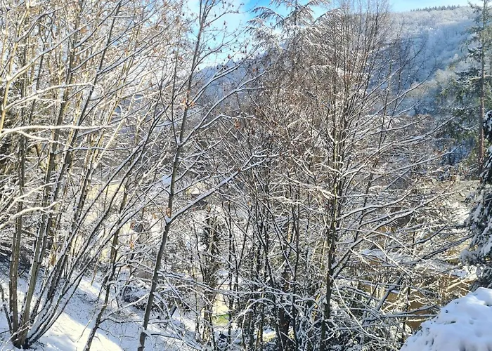 公寓 Exclusives Waldhaus Zum Gechillten Hirsch - Komplett 特拉本特拉巴赫